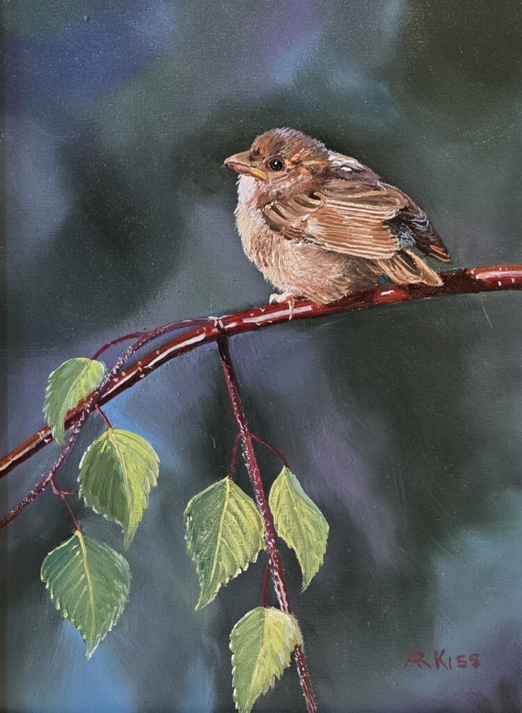 Andrew Kiss Artist