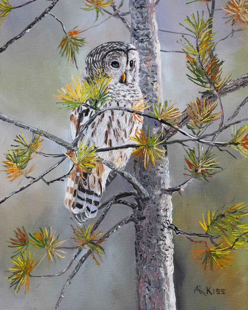 Andrew Kiss Artist