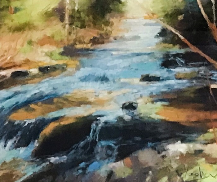 Susan Woolgar Artist